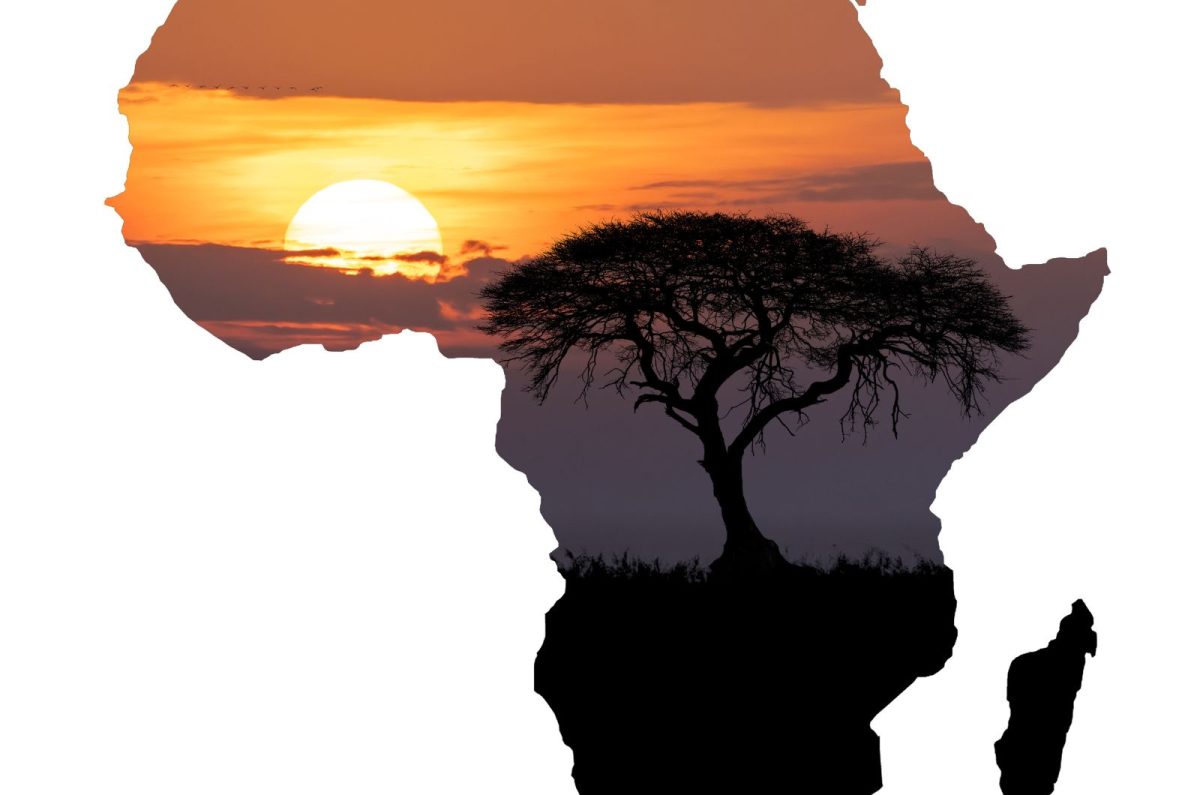 כנון והפקת טיולי ספארי באפריקה